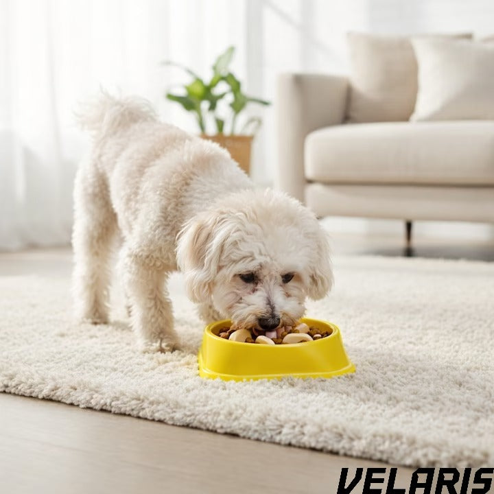 Alimentator Lent pentru Animale, Bol Antiderapant Hranire Lenta pentru Caini si Pisici Design Interior AntiInghitire Material Sigur Usor de Curatat Rezistent, Galben