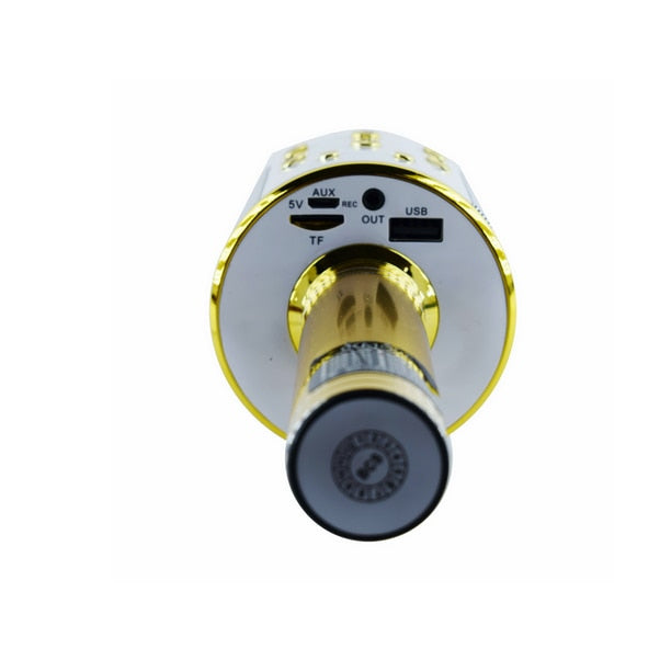 Microfon karaoke DS878, design metalic, sunet clar, reproducere card memorie