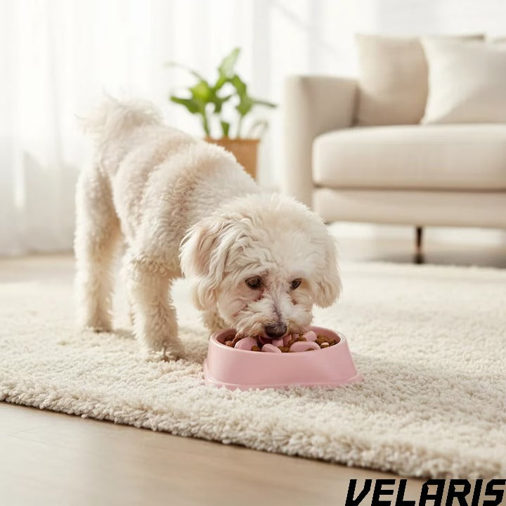 Alimentator Lent pentru Animale, Bol Antiderapant Hranire Lenta pentru Caini si Pisici Design Interior AntiInghitire Material Sigur Usor de Curatat Rezistent, Roz