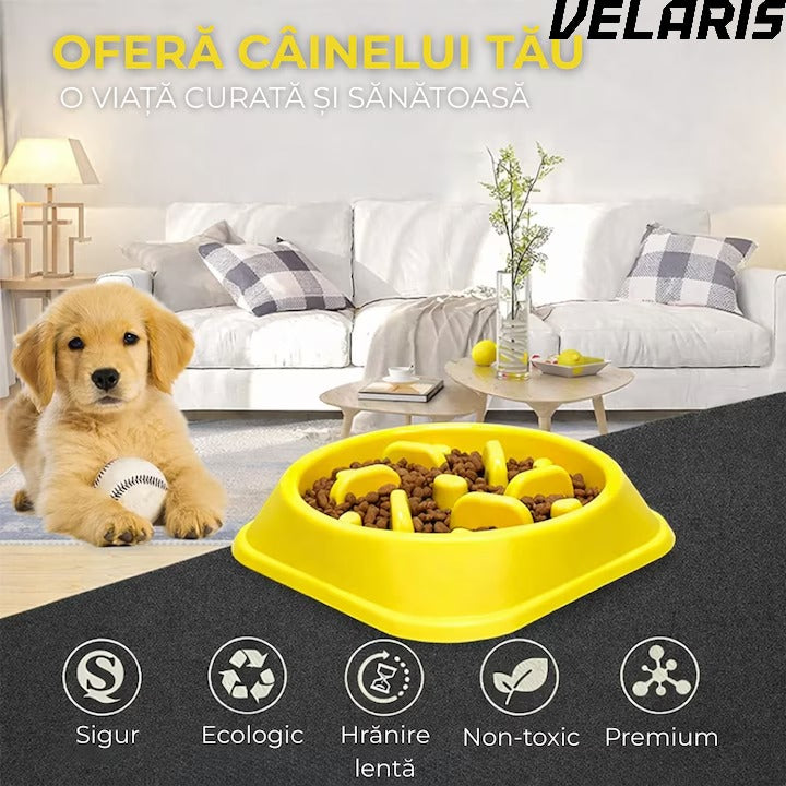 Alimentator Lent pentru Animale, Bol Antiderapant Hranire Lenta pentru Caini si Pisici Design Interior AntiInghitire Material Sigur Usor de Curatat Rezistent, Galben