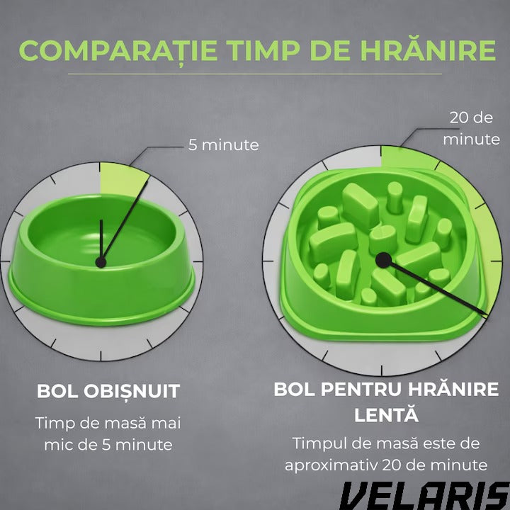 Bol pentru caini, hranire lenta, plastic, antiderapant, 19 cm, verde