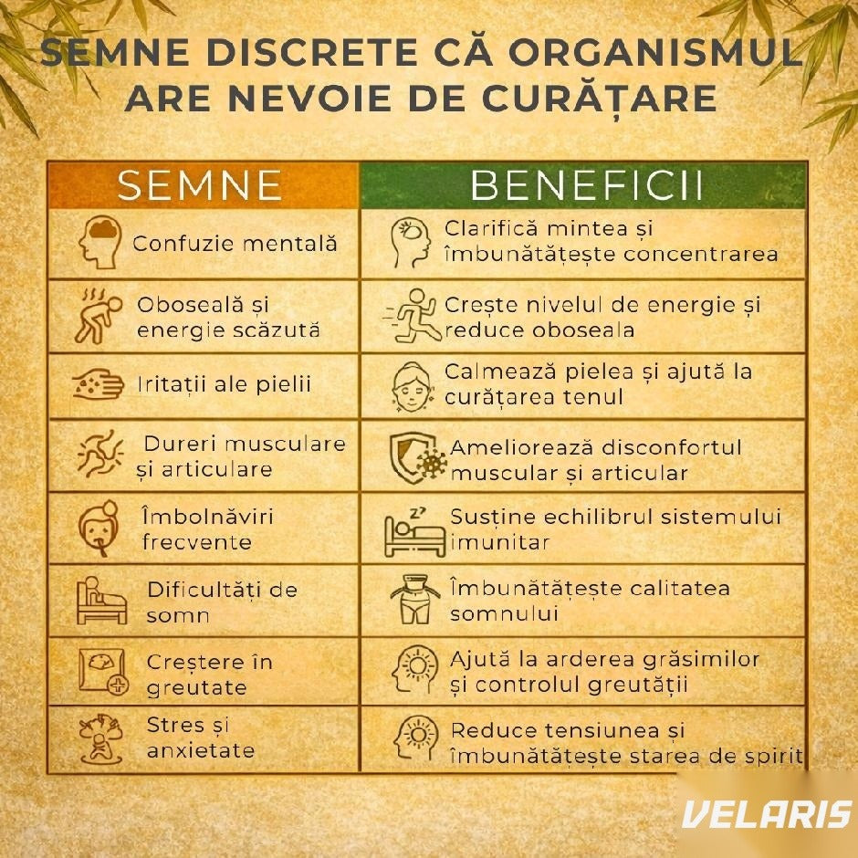Plasturi detoxifianți cu ghimbir, 10 buc, pentru picioare