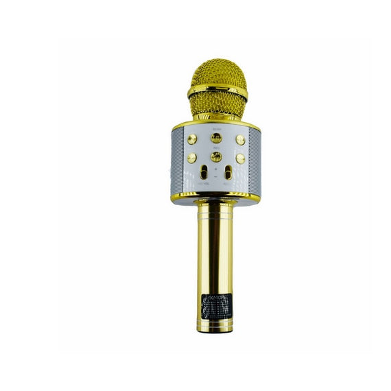 Microfon karaoke DS878, design metalic, sunet clar, reproducere card memorie