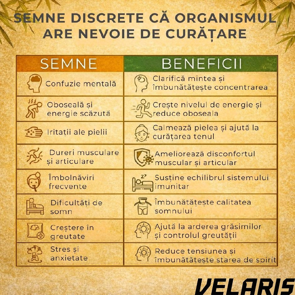 Plasturi detoxifiere, cu ghimbir, 10 bucati, pentru picioare