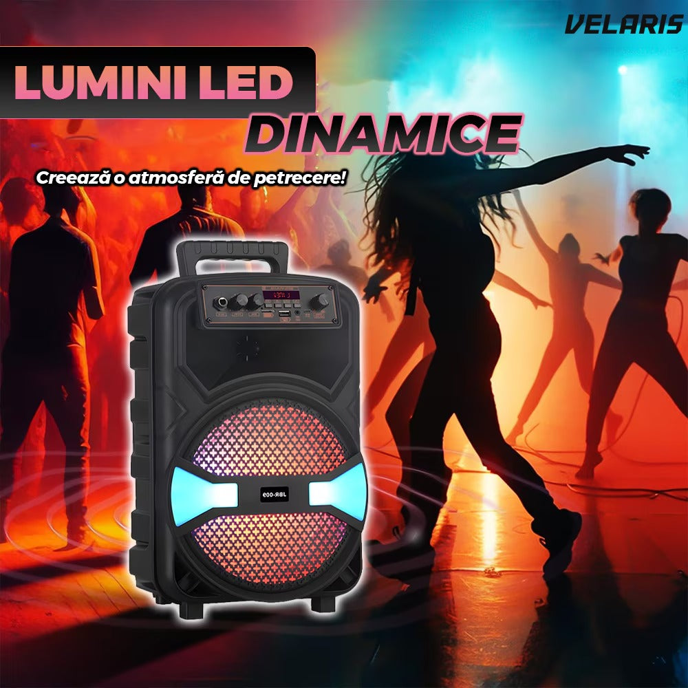 Boxă portabilă JBR009, microfon, telecomandă, LED, 1200W, negru