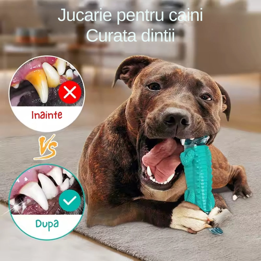 Jucarie dentitie pentru catei, in forma de crocodil, material rezistent si sigur, verde, ideala pentru joaca si mestecat