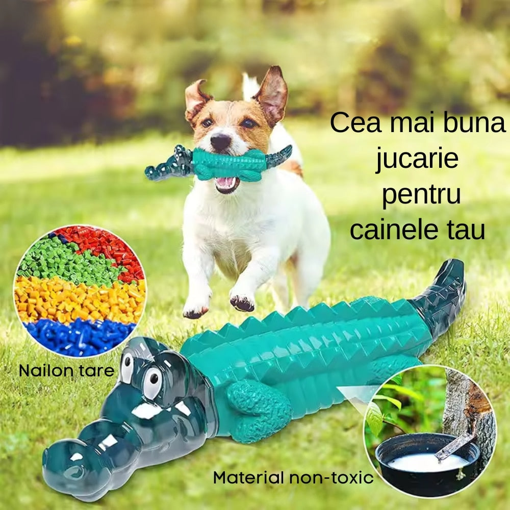Jucarie dentitie pentru catei, in forma de crocodil, material rezistent si sigur, verde, ideala pentru joaca si mestecat