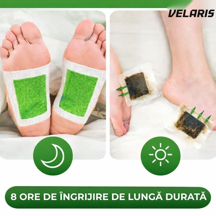 Set 10 Plasturi Detoxifiere KINOKI pentru Picioare cu Ceai Verde
