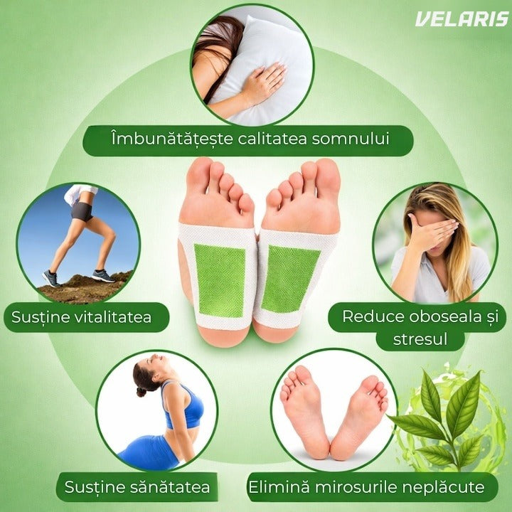 Set 10 Plasturi Detoxifiere KINOKI pentru Picioare cu Ceai Verde