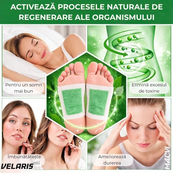 Set 10 Plasturi Detoxifiere KINOKI pentru Picioare cu Ceai Verde
