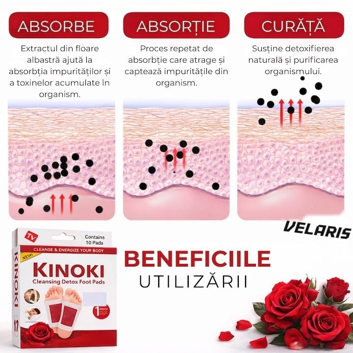 Set 10 Plasturi Detoxifiere KINOKI pentru Picioare cu Trandafir