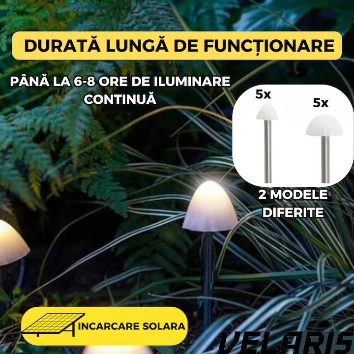 Set 10 lumini solare de gradina, LED, alb cald, 5m, rezistente la apa, design tip ciuperci