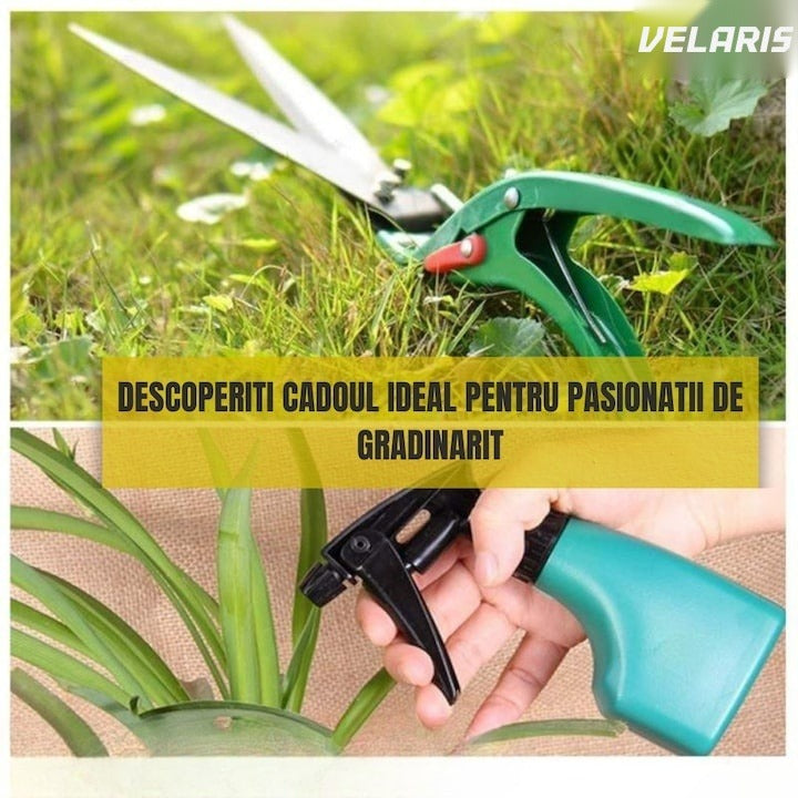 Set accesorii grădinărit 10 piese, oțel inoxidabil și plastic, foarfece, lopată, pulverizator, geantă inclusă