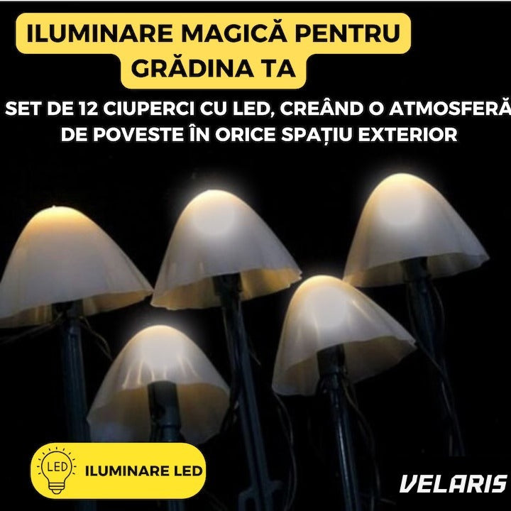 Set 10 lumini solare de grădină, LED alb cald, 5m, IP65, design ciupercă