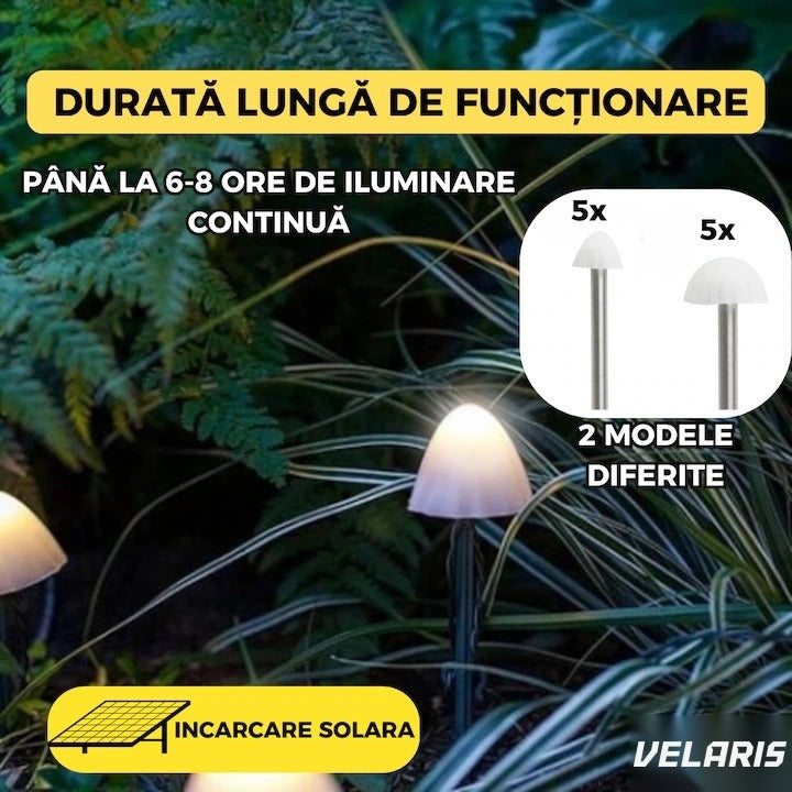 Set 10 lumini solare de grădină, LED alb cald, 5m, IP65, design ciupercă