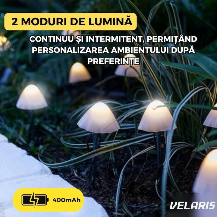 Set 10 lumini solare de grădină, LED alb cald, 5m, IP65, design ciupercă