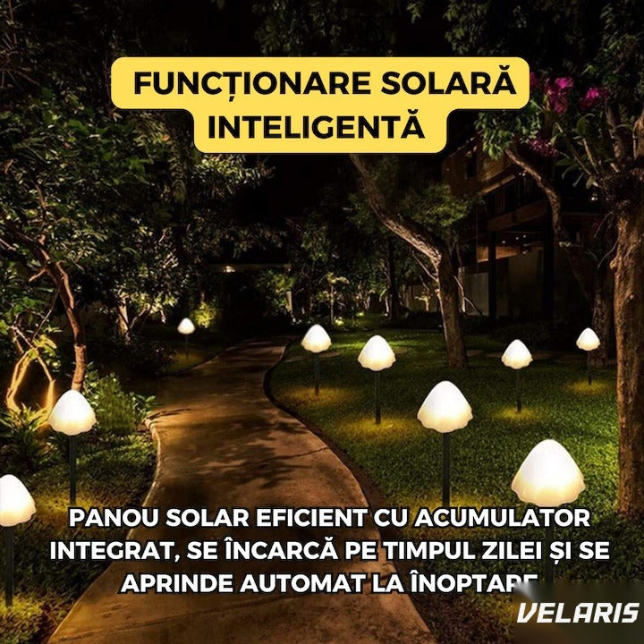 Set 10 lumini solare de grădină, LED alb cald, 5m, IP65, design ciupercă
