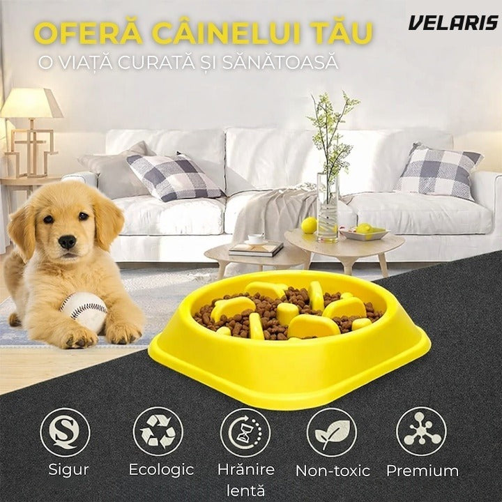 Bol comedeor cini și pisici 20 cm, galben, antialunecant, ușor de curățat
