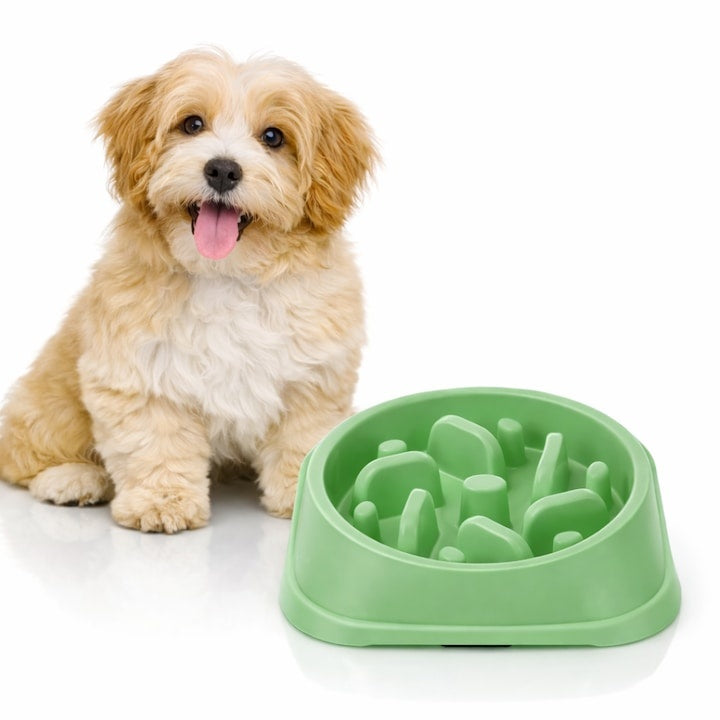 Bol anti-înghițire rapidă pentru câini, plastic, antiderapant, 19 cm, verde