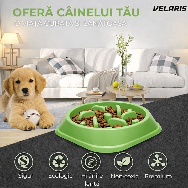 Bol anti-înghițire rapidă pentru câini, plastic, antiderapant, 19 cm, verde