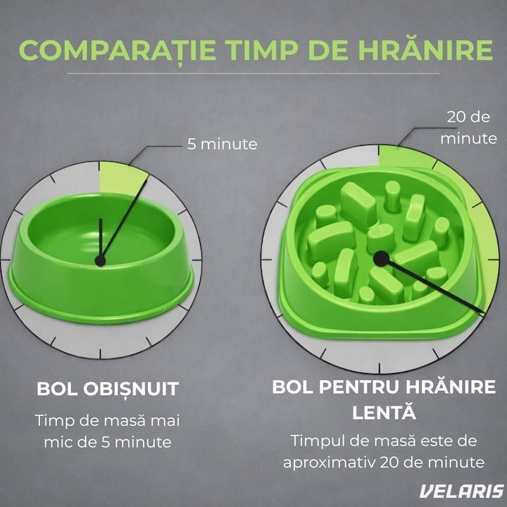 Bol anti-înghițire rapidă pentru câini, plastic, antiderapant, 19 cm, verde